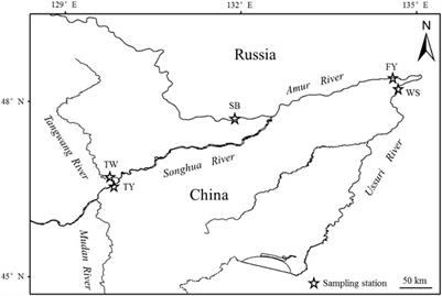 The feeding habits of the Amur whitefish Coregonus ussuriensis in the Amur River, China